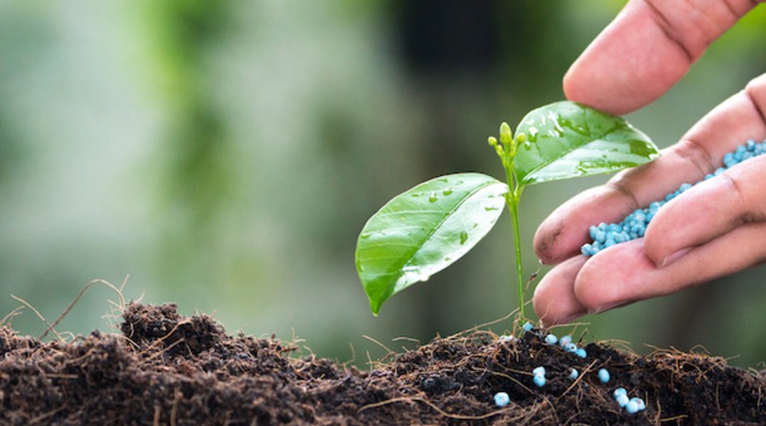 Why Agricultural Suppliers Partner with ACO Syria